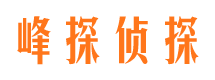 晴隆寻人公司